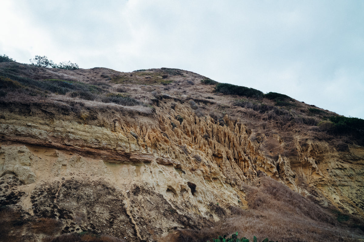 Torrey Pines 1