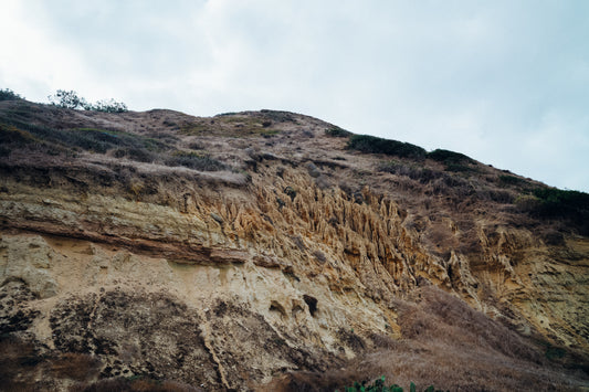 Torrey Pines 1