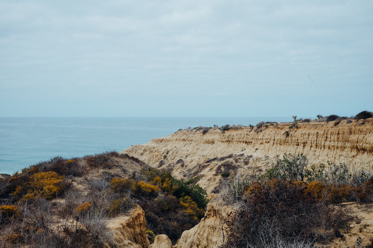 Torrey Pines 11