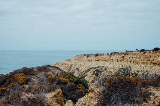 Torrey Pines 11
