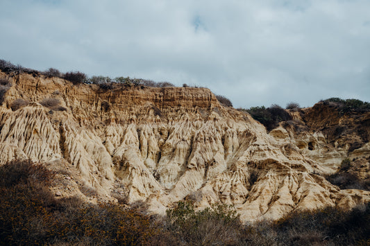 Torrey Pines 12