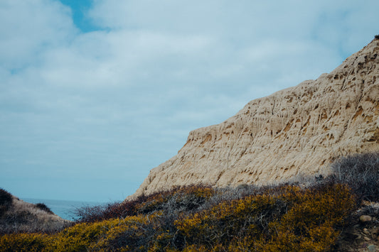 Torrey Pines 13