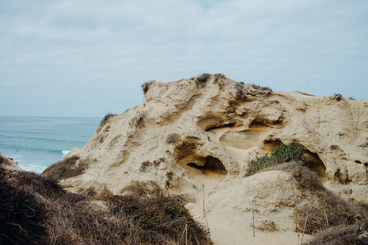 Torrey Pines 15