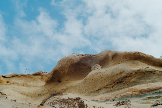 Torrey Pines 21