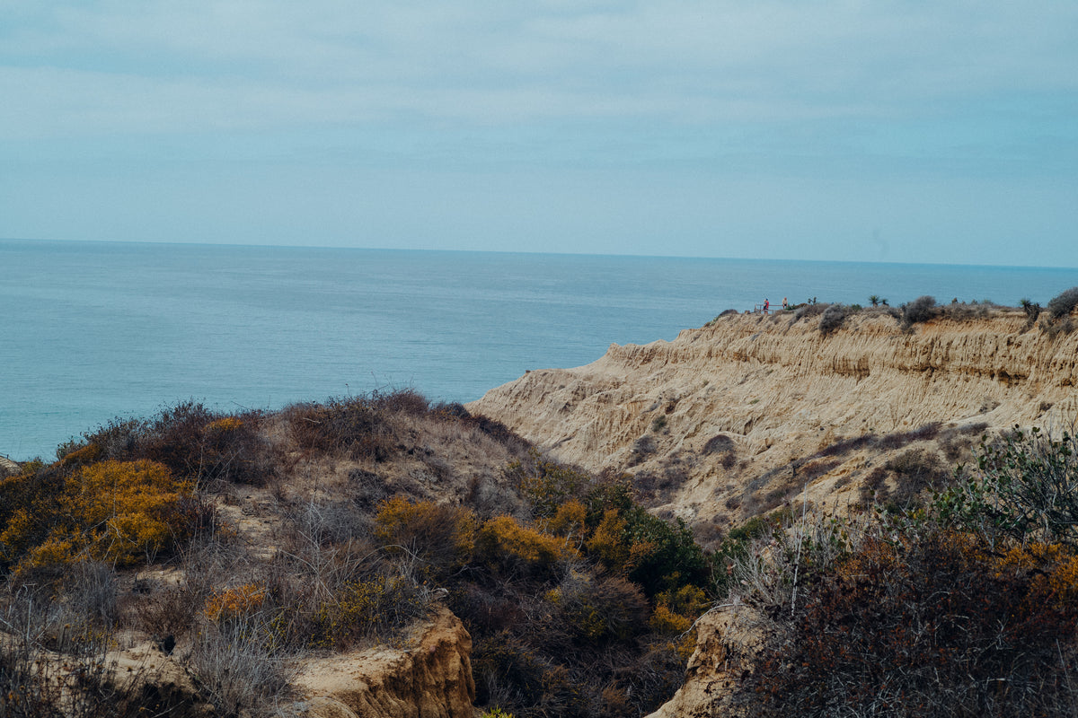 Torrey Pines 27