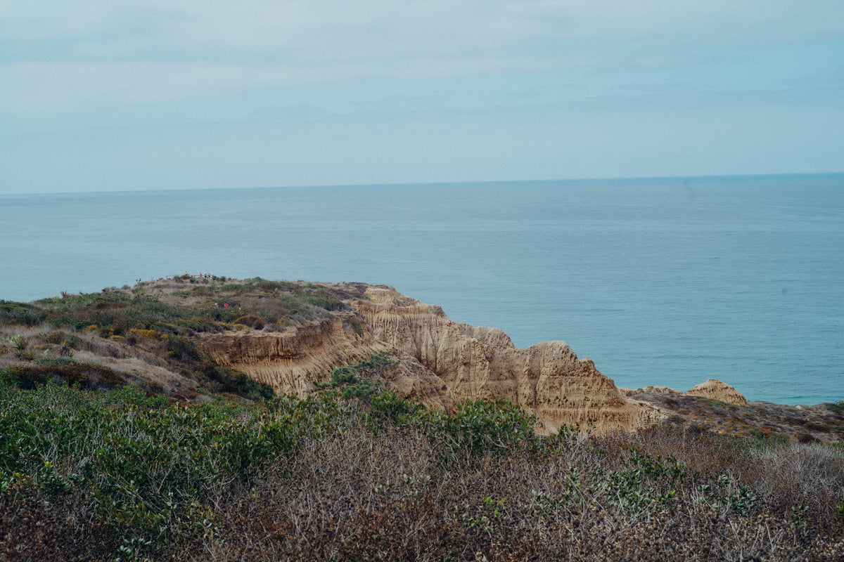 Torrey Pines 28