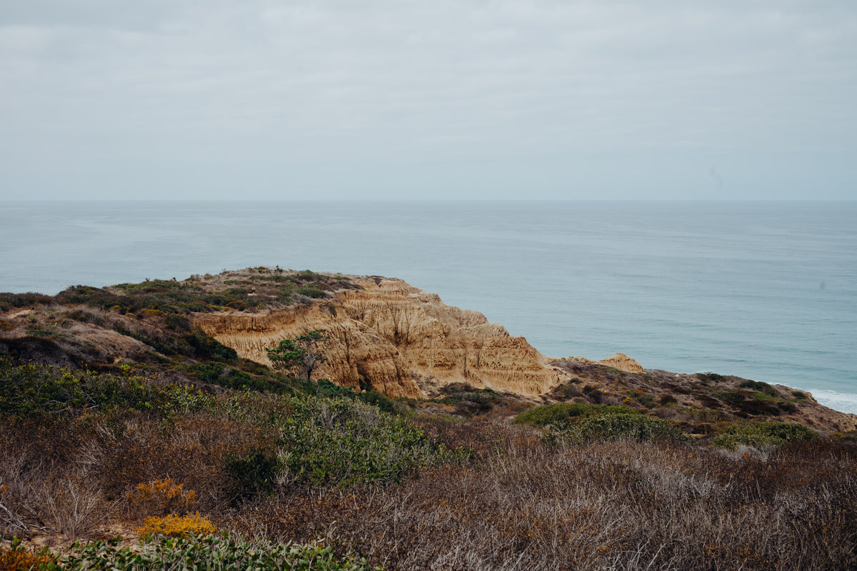 Torrey Pines 9